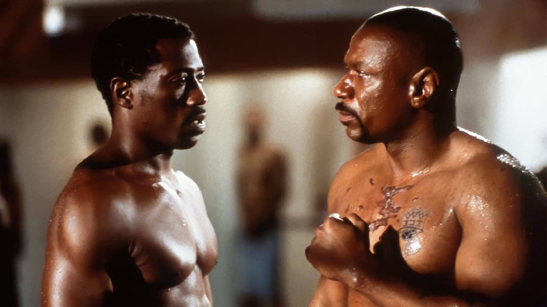 Undisputed - Sieg ohne Ruhm backdrop 2