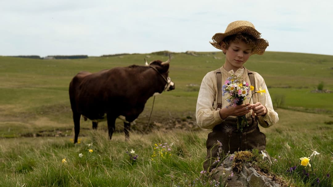 Пригоди маленького Ремі backdrop 8