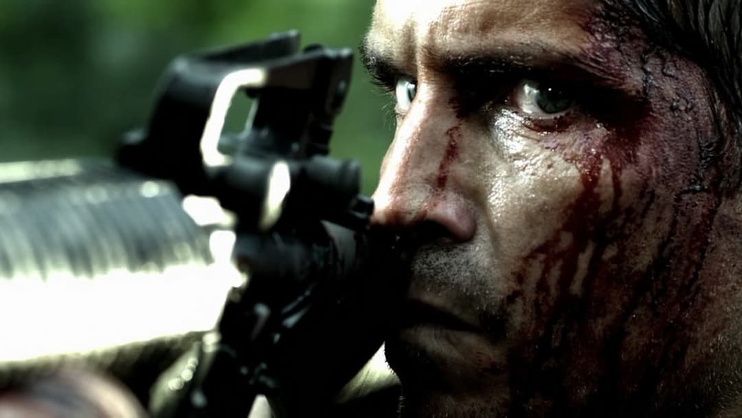 Транзит backdrop 4