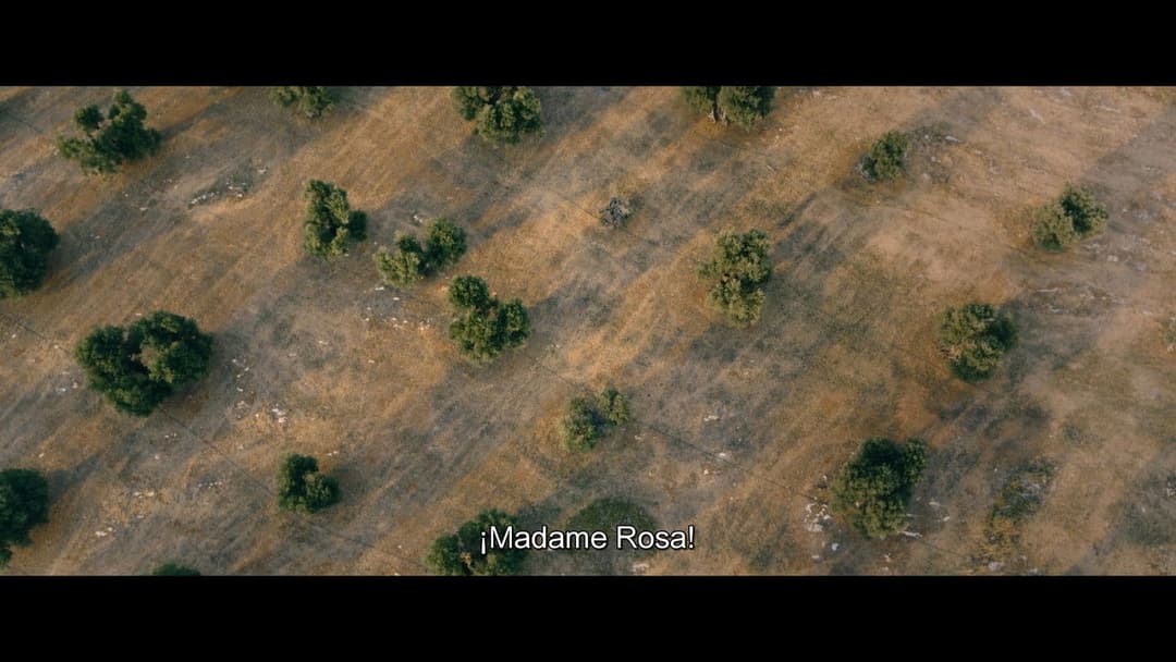 Усе життя попереду backdrop 9