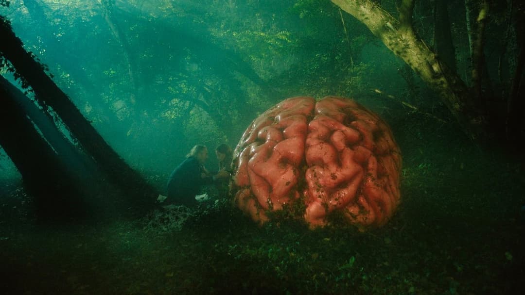 Чутки backdrop 2