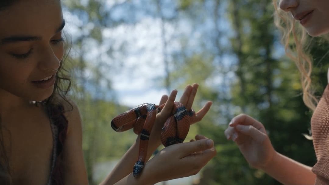 The Hunger Games: The Ballad of Songbirds & Snakes backdrop 9