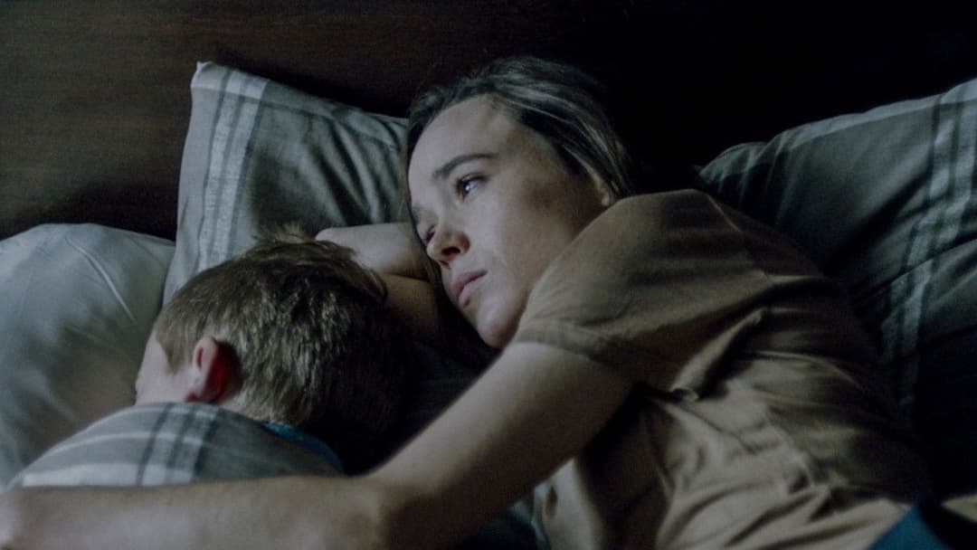 The Cured: Infiziert. Geheilt. Verstoßen. backdrop 7