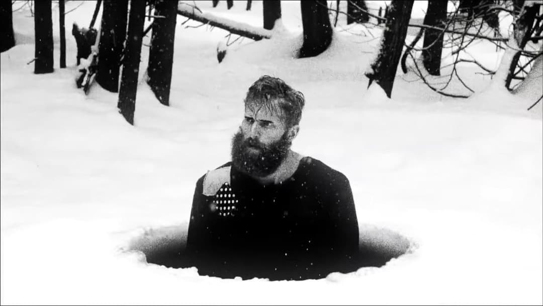 Hundreds of Beavers backdrop 12