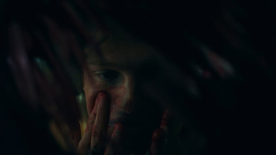 Vermilion backdrop 2