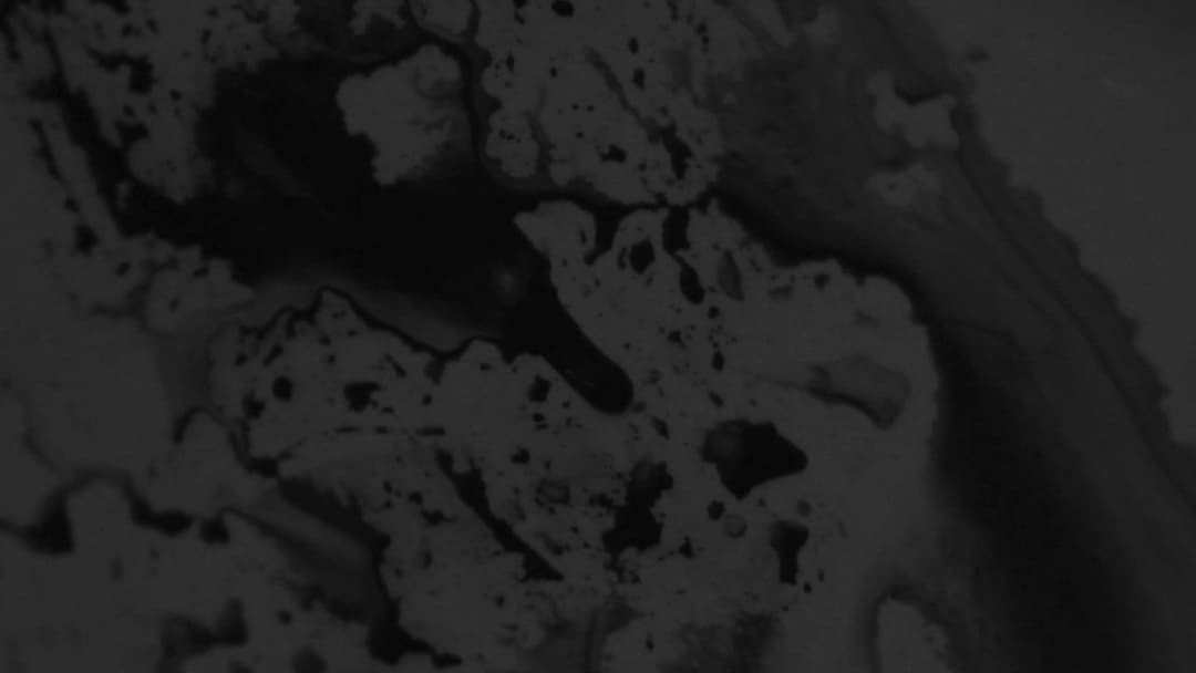 I Can’t Bear the Vanishing Gentleness of This World