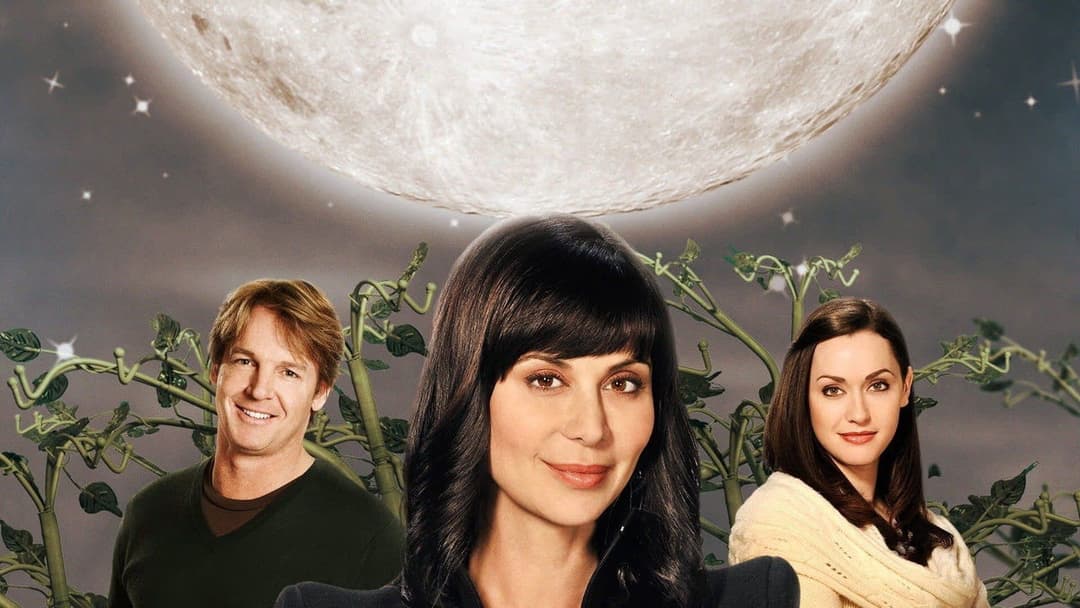 Сім’я доброї відьми backdrop 2