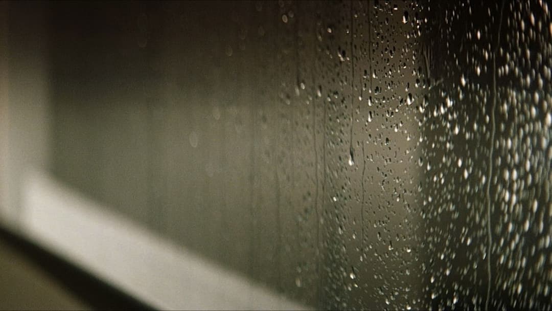 Соляріс backdrop 10