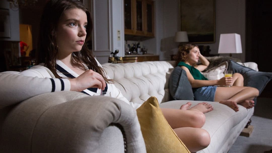 Vollblüter backdrop 18