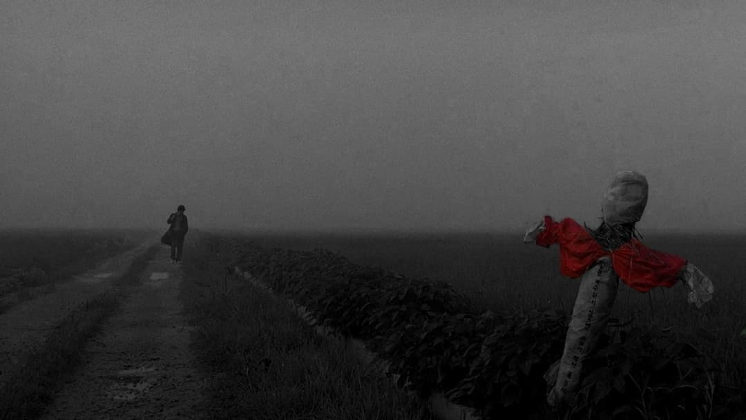 Memories of Murder backdrop 8