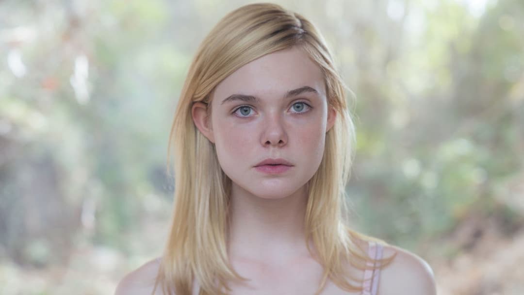 Jahrhundertfrauen backdrop 6