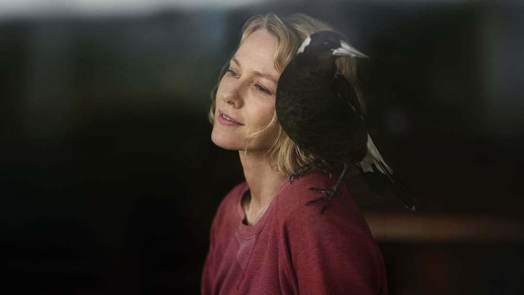 Beflügelt – Ein Vogel namens Penguin Bloom backdrop 5