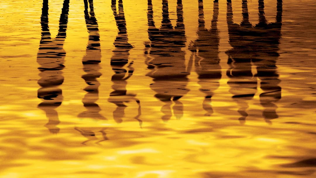 Kleine wahre Lügen backdrop 1