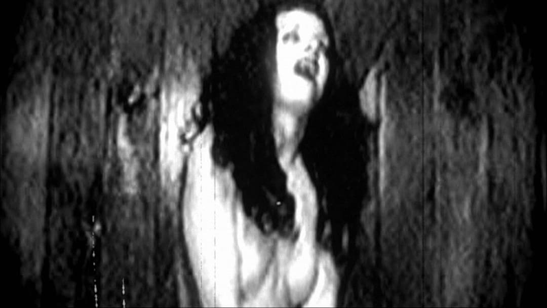 Будинок тисячі трупів backdrop 20