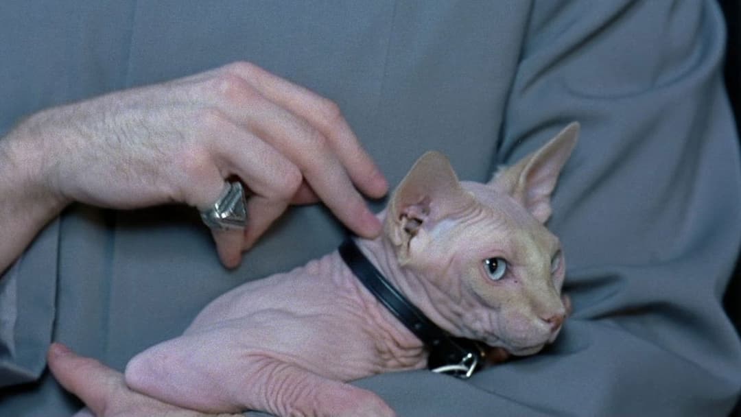 Остін Паверс: Міжнародний таємний агент backdrop 19