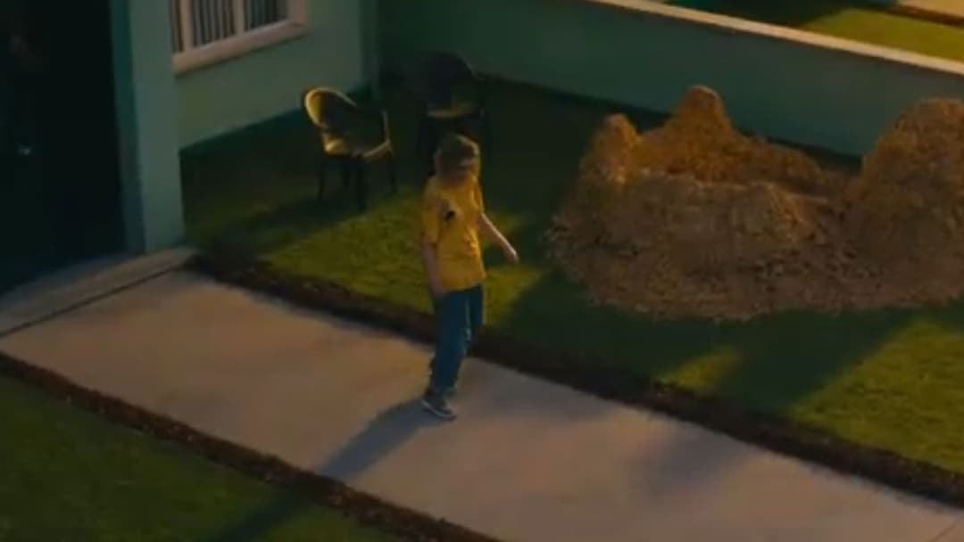 Віваріум backdrop 12