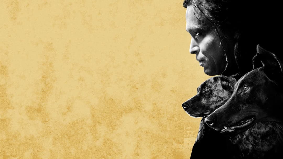 Догмен backdrop 6