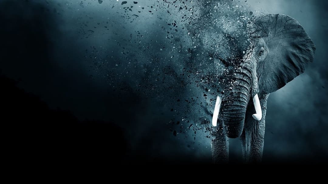 The Ivory Game: Das Elfenbein-Komplott