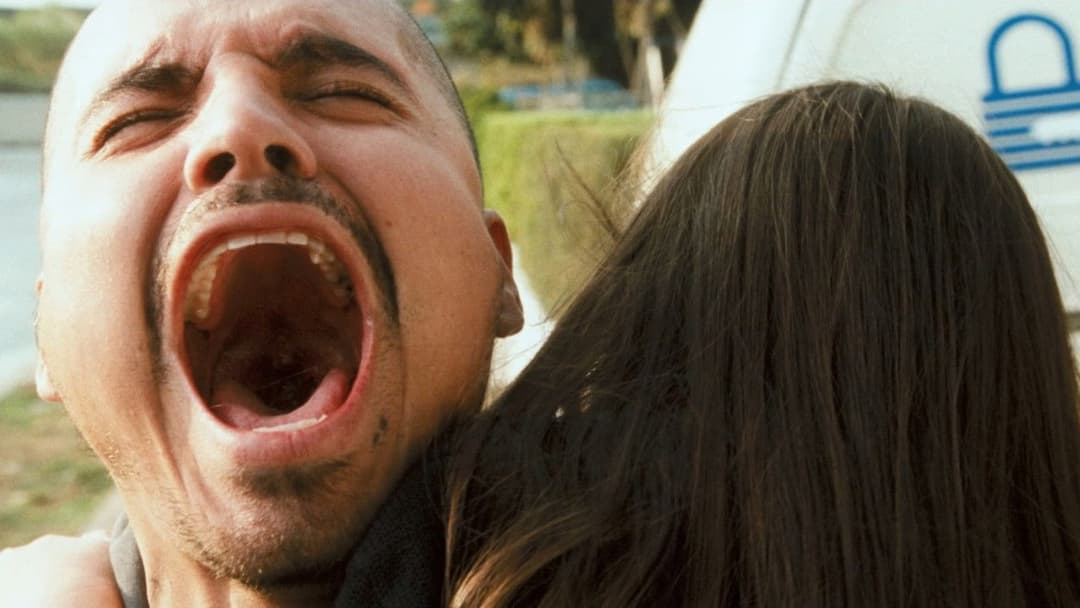 Зіткнення backdrop 3