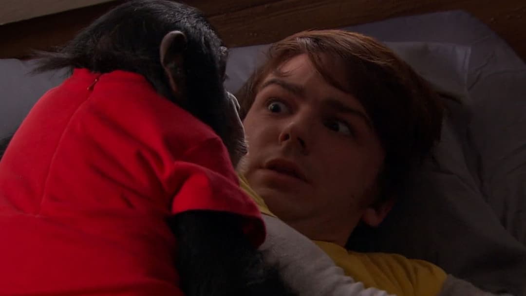 Frohe Weihnachten, Drake & Josh backdrop 10