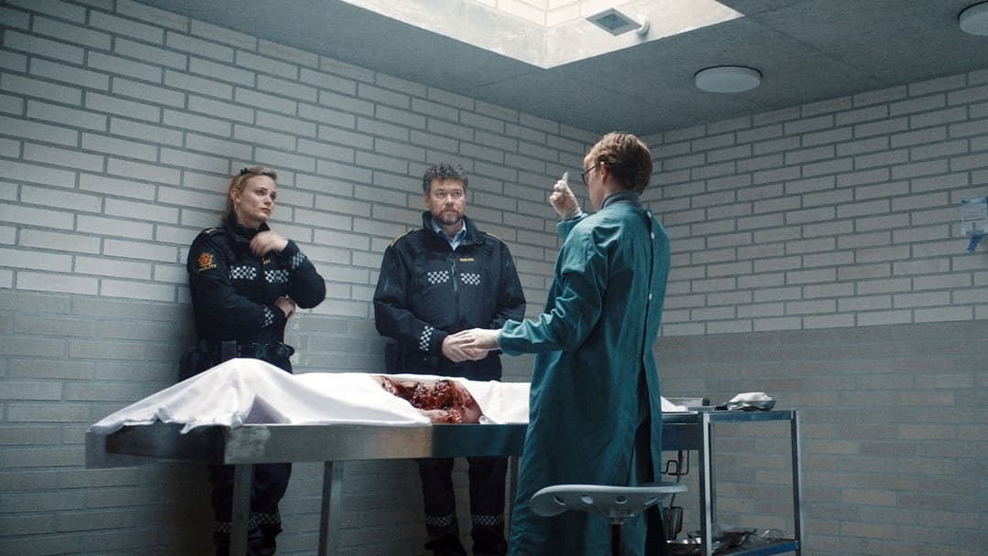 Вовк вікінгів backdrop 15