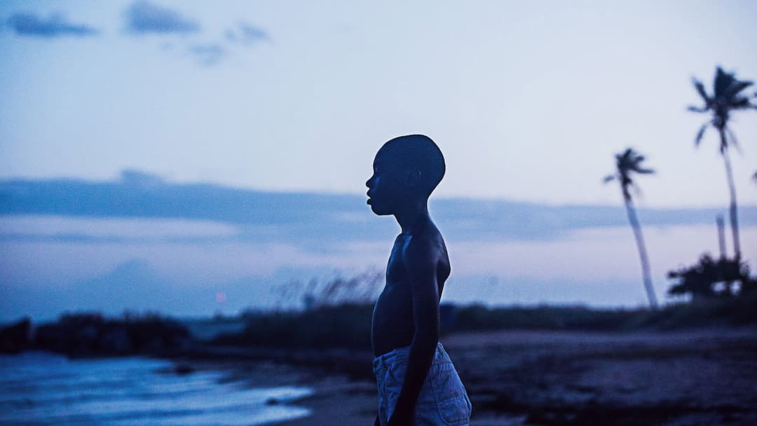 Moonlight backdrop 11