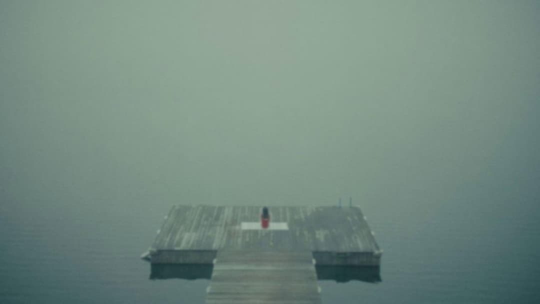 Чорний ведмідь backdrop 12