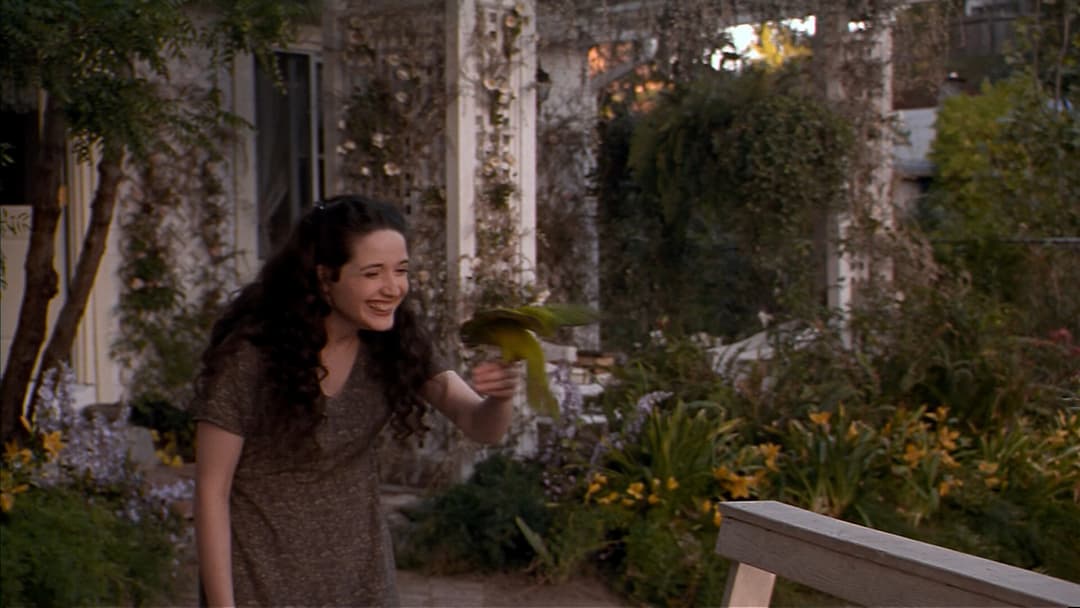 Paulie - Ein Plappermaul macht seinen Weg backdrop 4