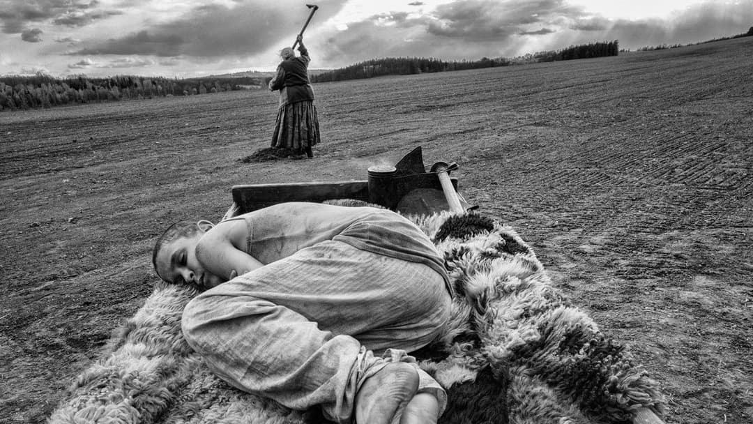 Пофарбоване пташеня backdrop 4