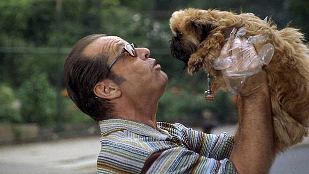 Краще не буває backdrop 12