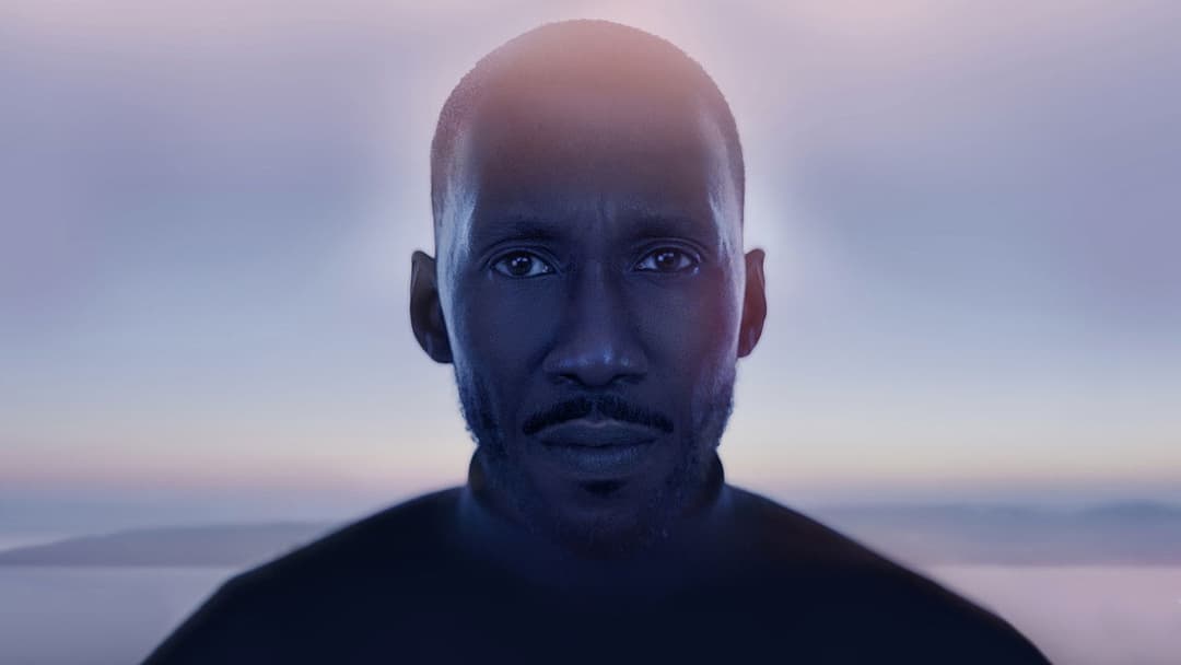 Schwanengesang backdrop 14