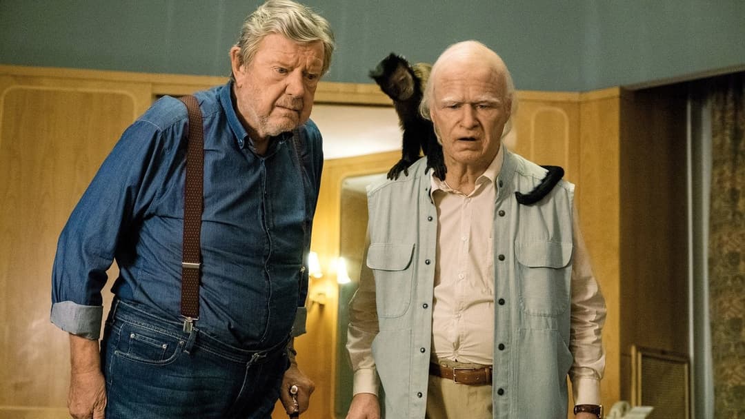 Der Hunderteinjährige, der die Rechnung nicht bezahlte und verschwand backdrop 4