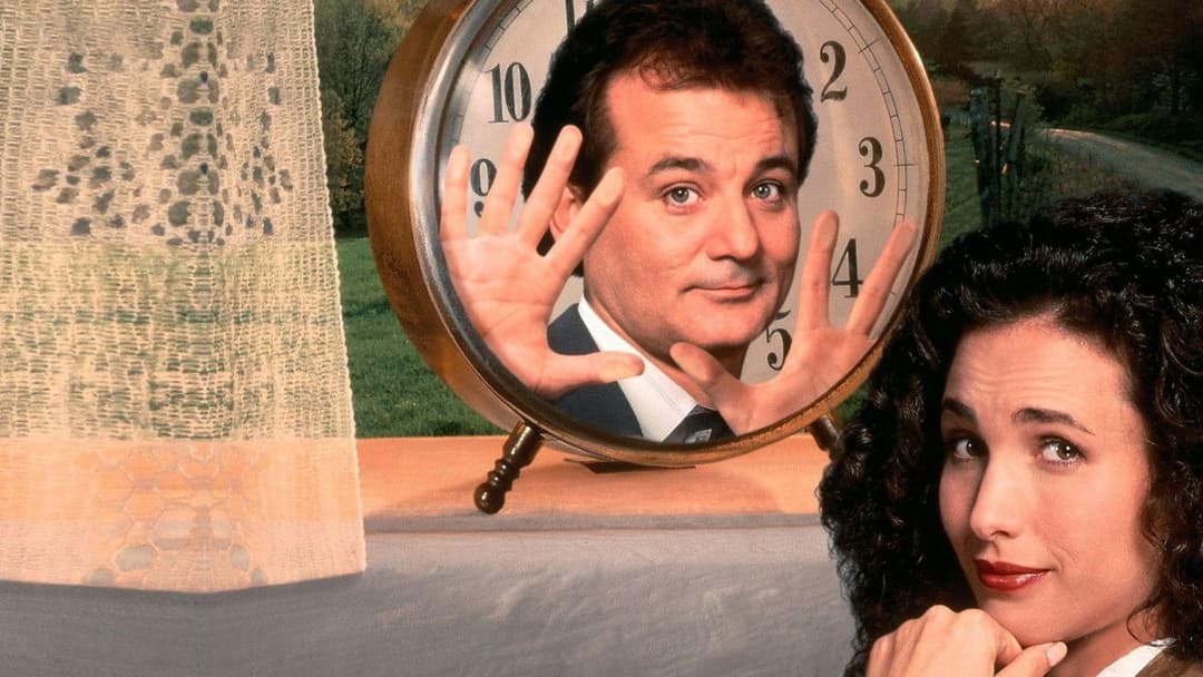 День бабака backdrop 14