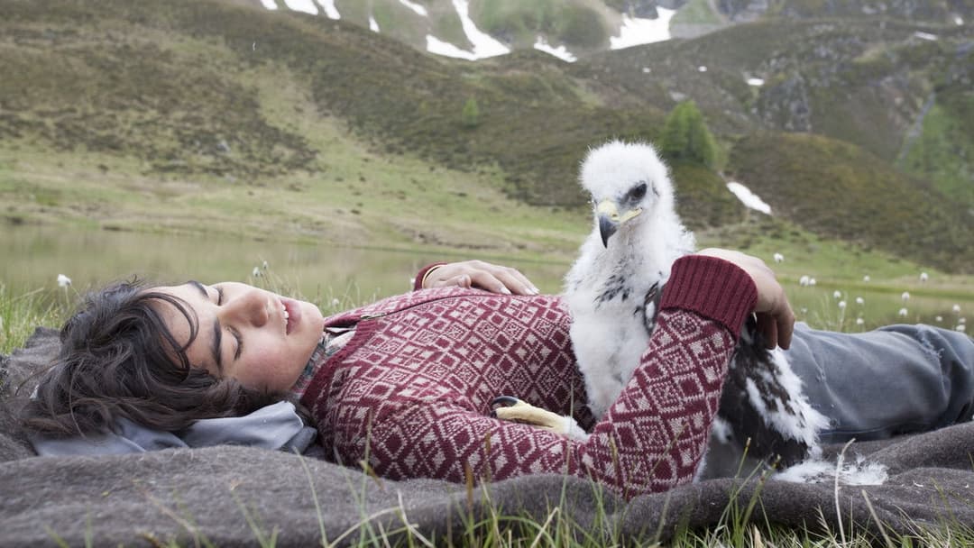Wie Brüder im Wind backdrop 7