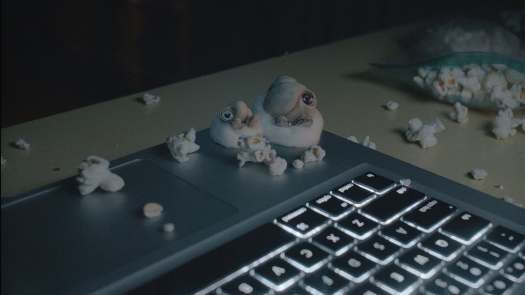 Марсель, мушля в черевичках backdrop 14