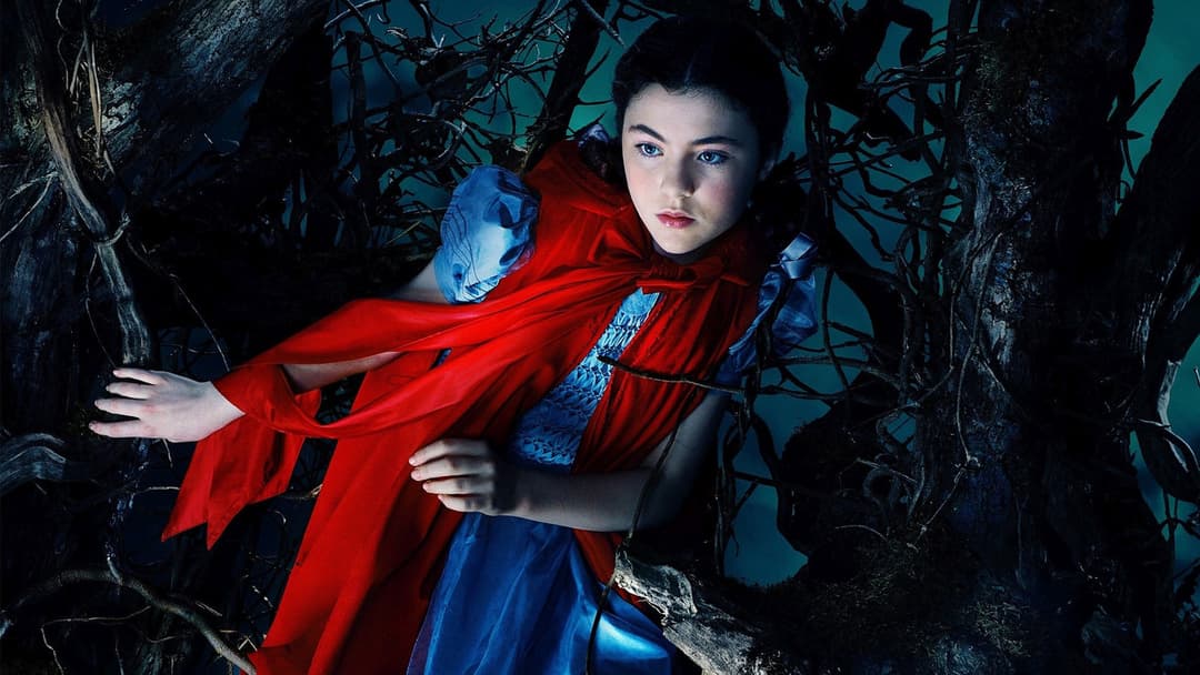 У темному-темному лісі backdrop 13