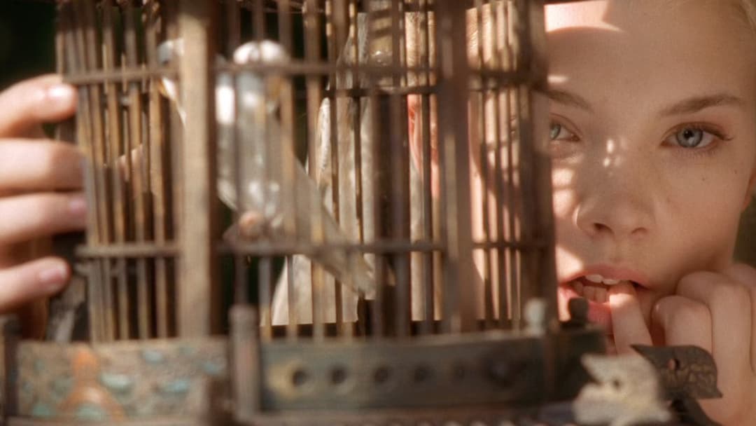 Casanova backdrop 20