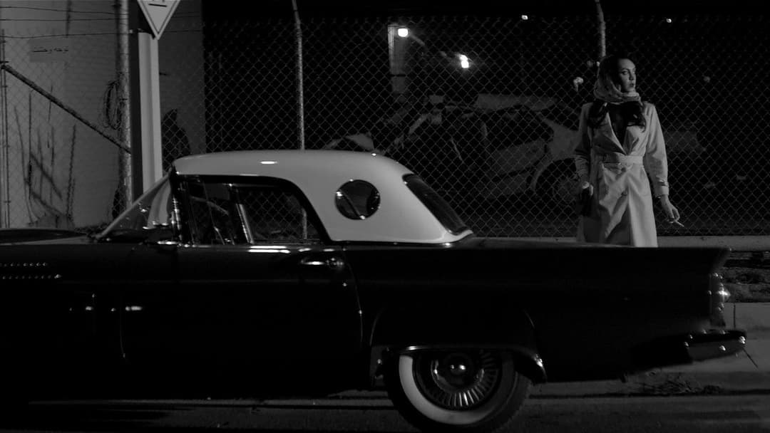 A Girl Walks Home Alone at Night backdrop 13