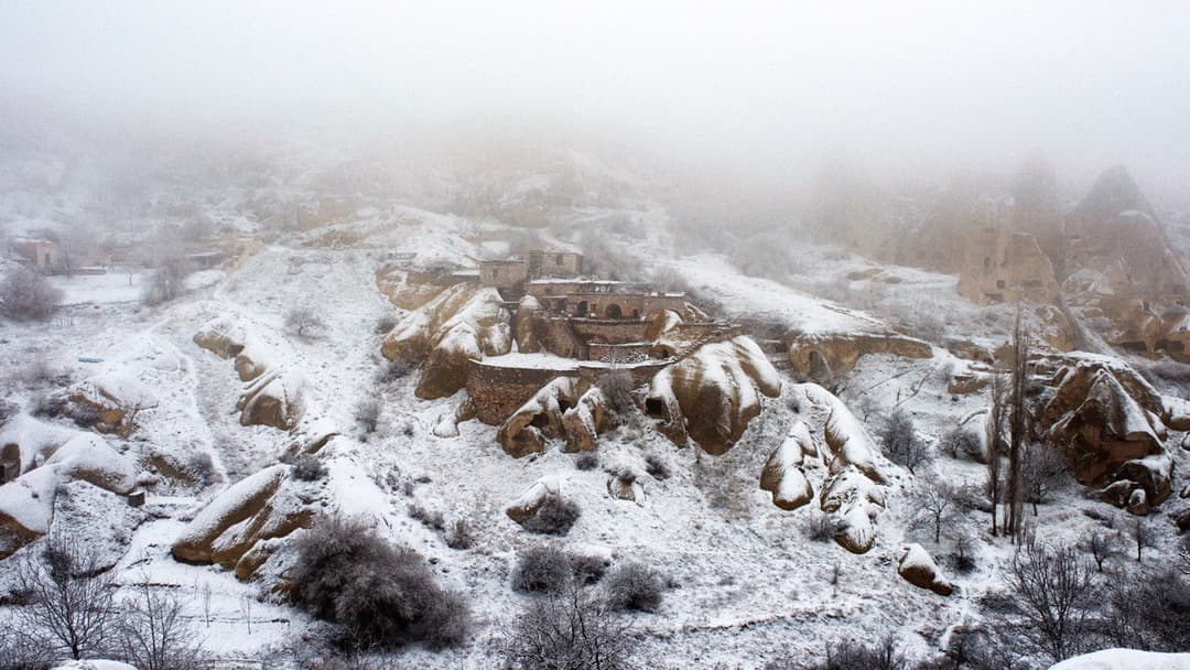 Winterschlaf backdrop 1