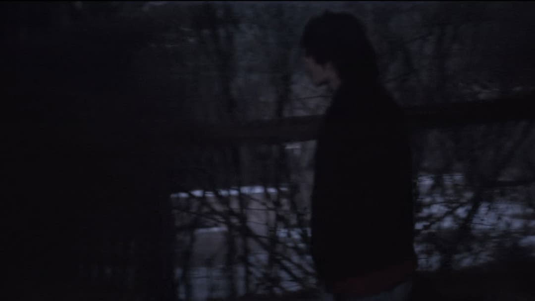 Le Lycéen backdrop 7