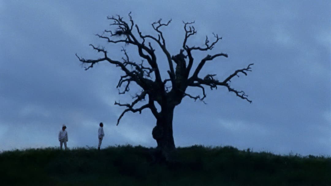 Bella e perduta backdrop 8