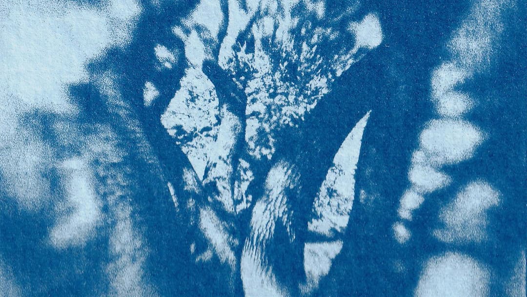 Farewell, My Tree backdrop 3