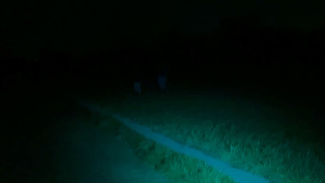 Port Meadow backdrop 2