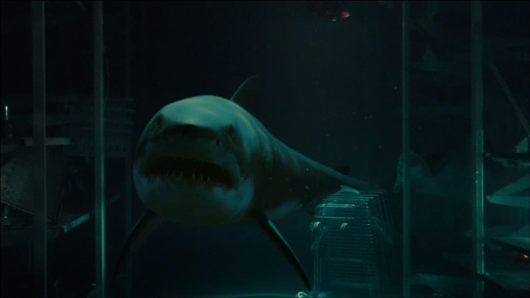 Цунамі backdrop 4