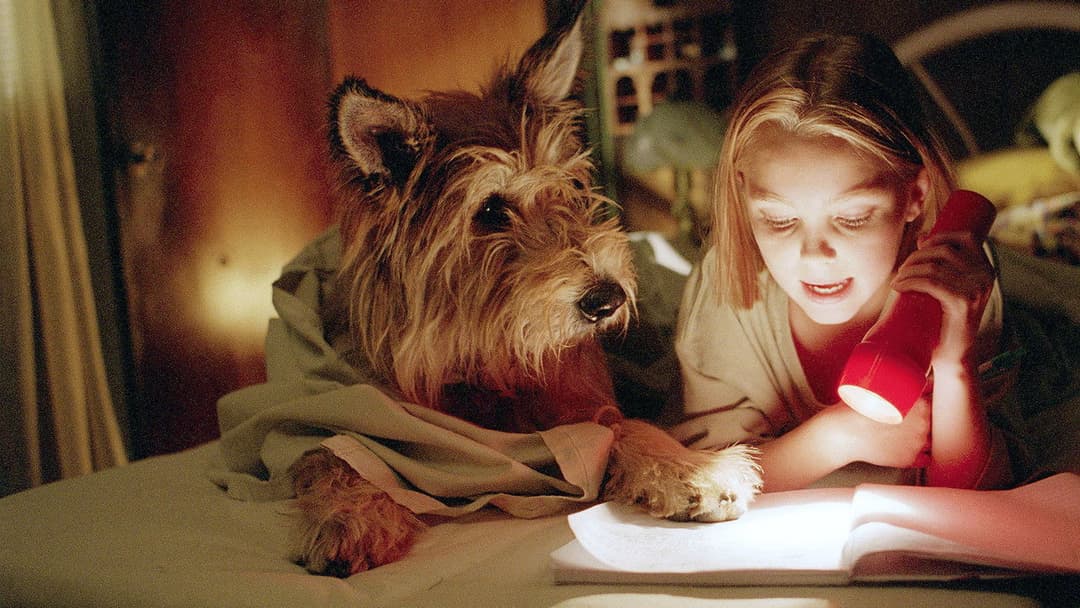 Winn-Dixie - Mein zotteliger Freund backdrop 3