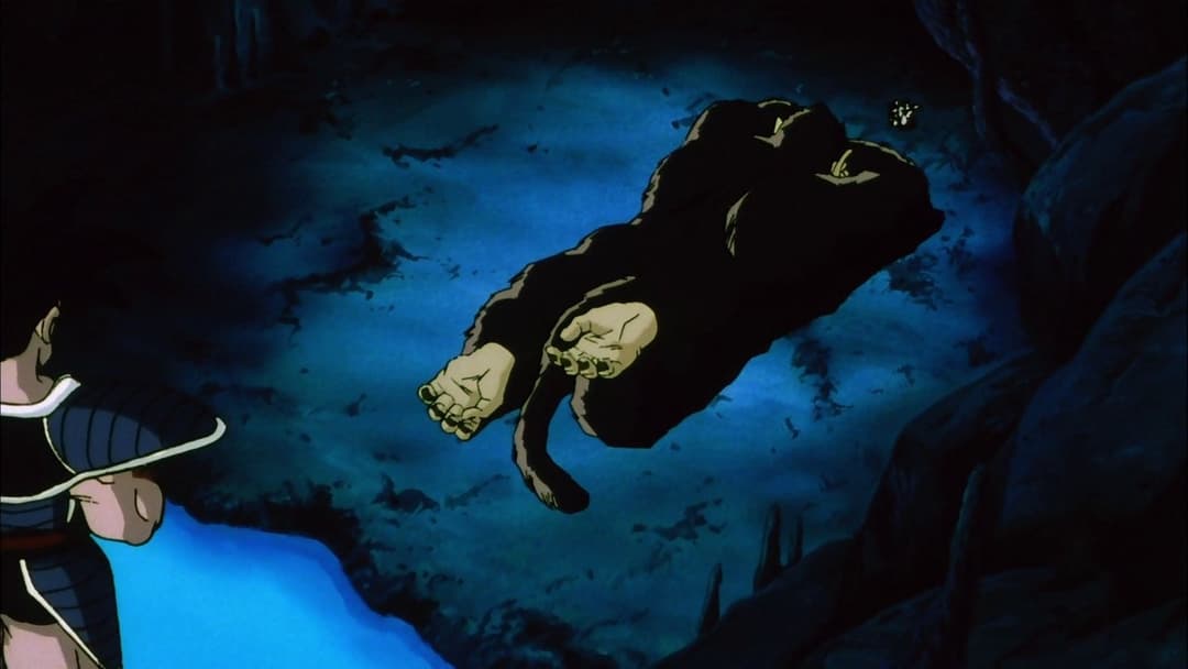 Dragonball Z: Die Entscheidungsschlacht backdrop 9