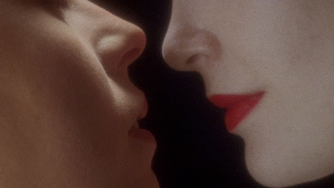 La belle année backdrop 3