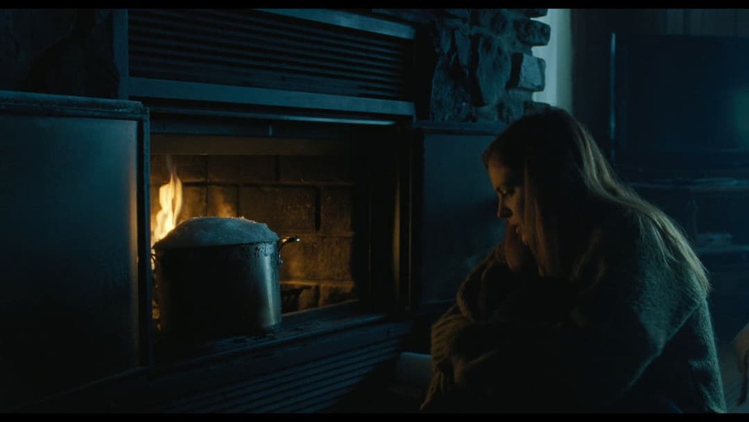 Будиночок backdrop 20