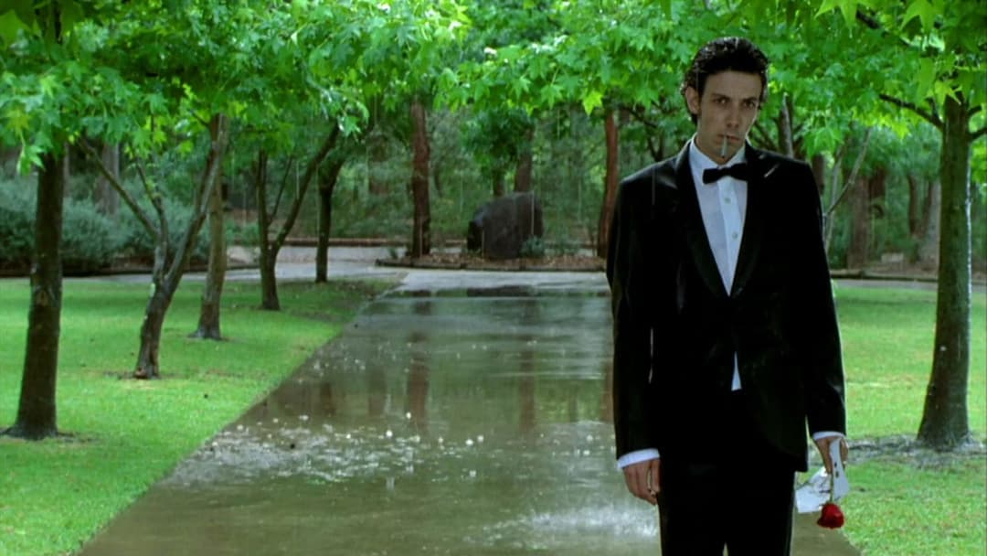 He Died with a Felafel in His Hand backdrop 2