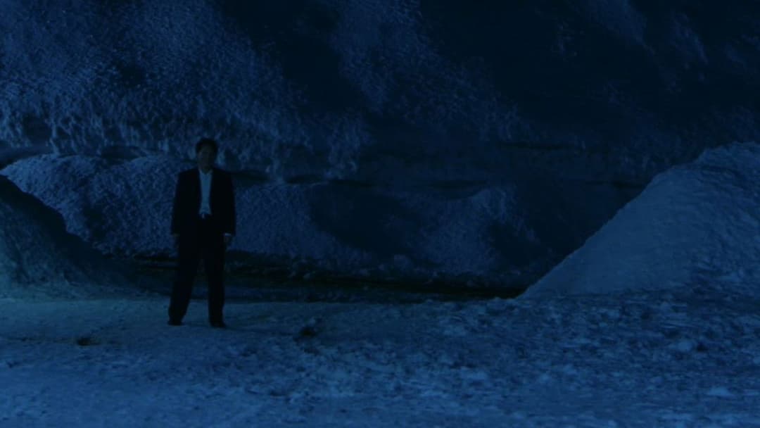 Hana-bi - Feuerblume backdrop 12